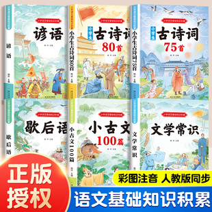 6年级古诗词75 小学生语文基础知识积累6册 同步必背诵读文学常识彩图注音1 人教版 80首小古文言100篇歇后语谚语少儿童备用课外书