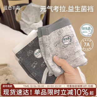 女士短裤 女纯棉益生菌底裆7a抑菌女生包臀三角裤 少女 气考拉内裤 元