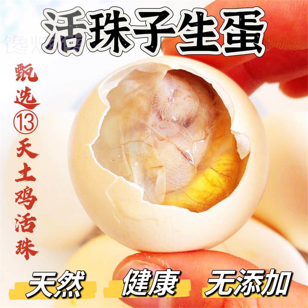 13天活珠子生的钢化蛋鸡胚蛋原味活珠子孵化鸡蛋南京活珠非毛蛋