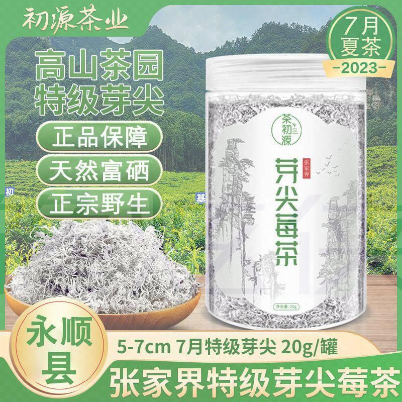 莓茶的功效与作用永顺县苺茶霉茶特级黄酮茶湖南张家界的梅茶野生