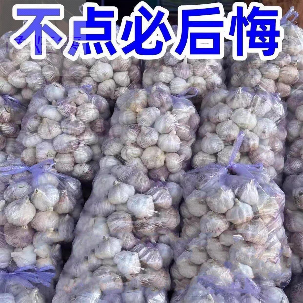 大蒜头干蒜5斤山东紫皮干鲜独头蒜多瓣白皮10斤装包邮农家新蒜