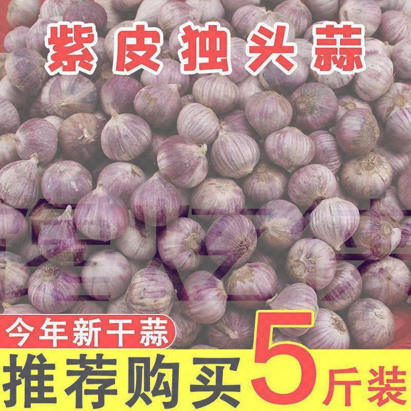 云南独头蒜大果独蒜头干蒜头新大蒜独蒜头出口级精品级特大果包邮