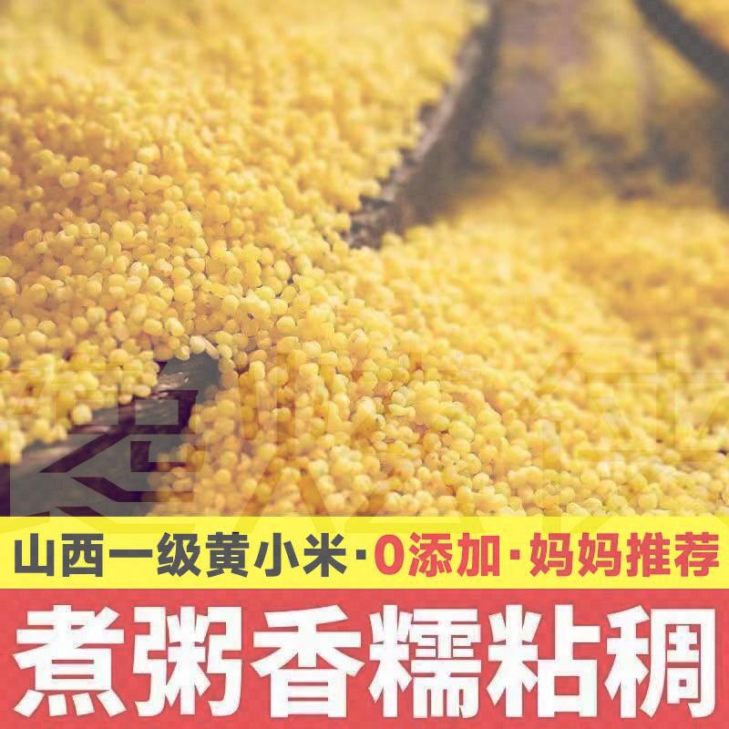 山西农家黄小米新米月子米五谷杂粮米糯小米农家黄米当季新粮5斤
