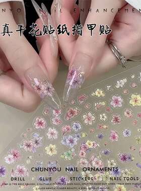 【菊梓老师推荐】刺绣仿真干花小花指甲贴纸配饰指甲贴diy美甲贴