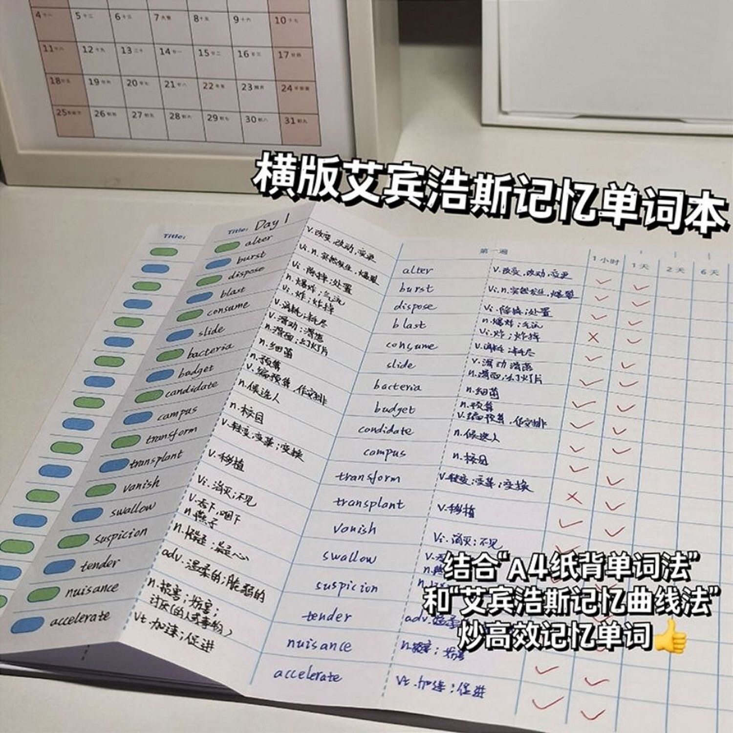 横版艾宾浩斯记忆曲线便签纸高效英语单词本可撕无粘性小红书同款