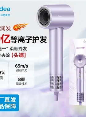 美的（Midea）高速吹风机 39亿等离子护发 家用电吹风FG208