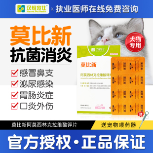 汉维宠仕莫比新宠物猫咪感冒消炎药猫用阿莫西林克拉维酸钾猫狗狗