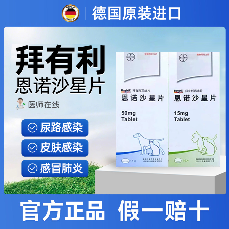 拜有利恩诺沙星风味片宠物消炎药