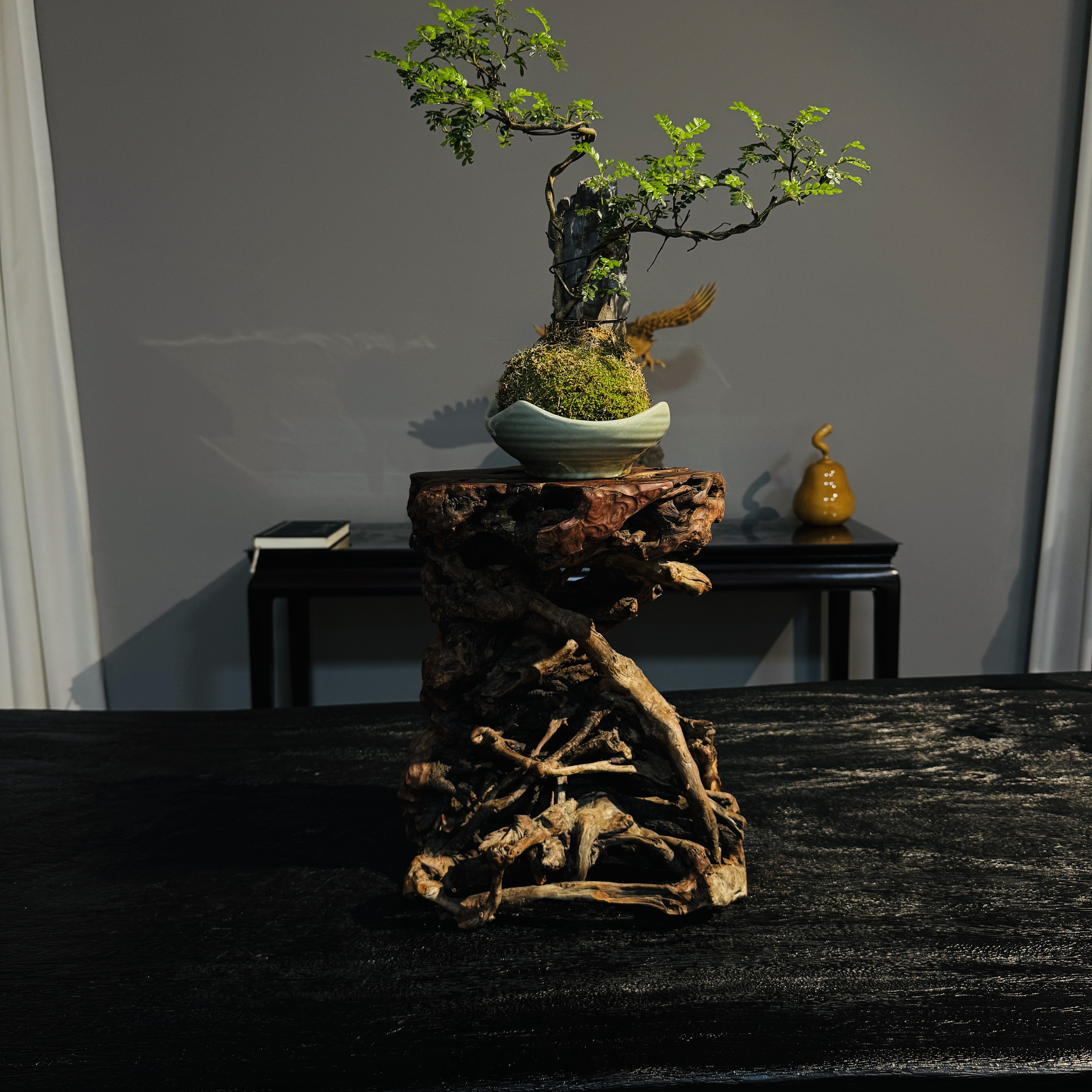 荔枝木树根底台家居装饰随形意境花架30×25×36