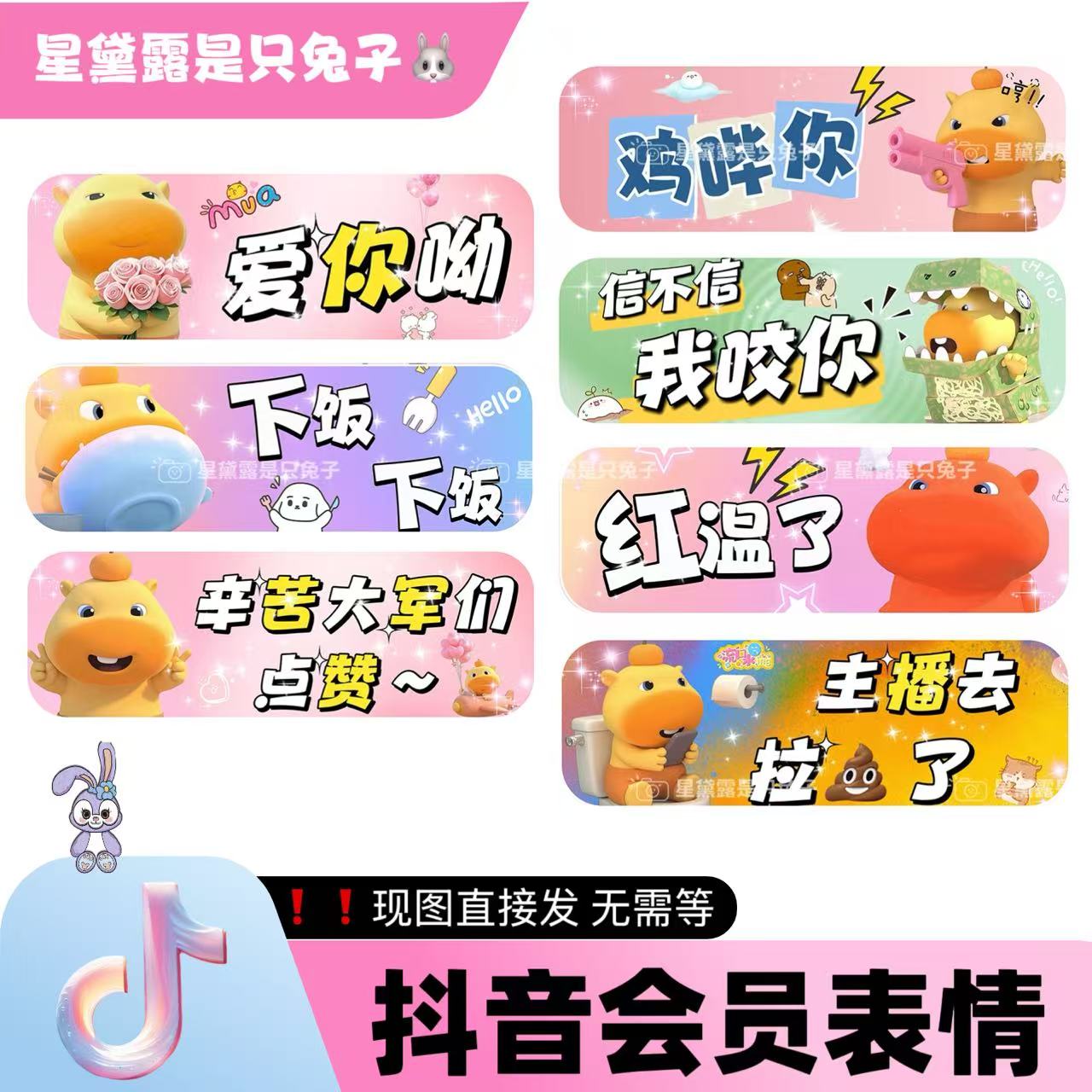 水豚噜噜抖音直播间专属会员小红书家薯表情包语音定制热门表情包