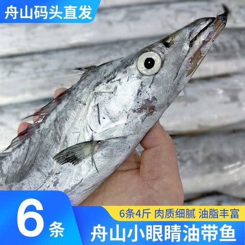 舟山小眼油带鱼产地直发包邮顺丰