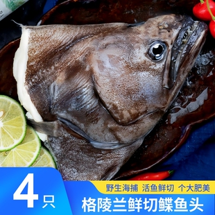 格陵兰鲽鱼头鸦片鱼头碟鱼头比目鱼头特大深海冷冻商用海鲜水产