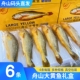 舟山大黄鱼新鲜鲜活冷冻半野生东海黄花鱼海捕深海鱼海鲜水产礼盒