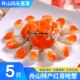 舟山红膏呛蟹咸蟹酱母蟹即食海鲜梭子蟹整只生腌螃蟹海蟹醉蟹特产