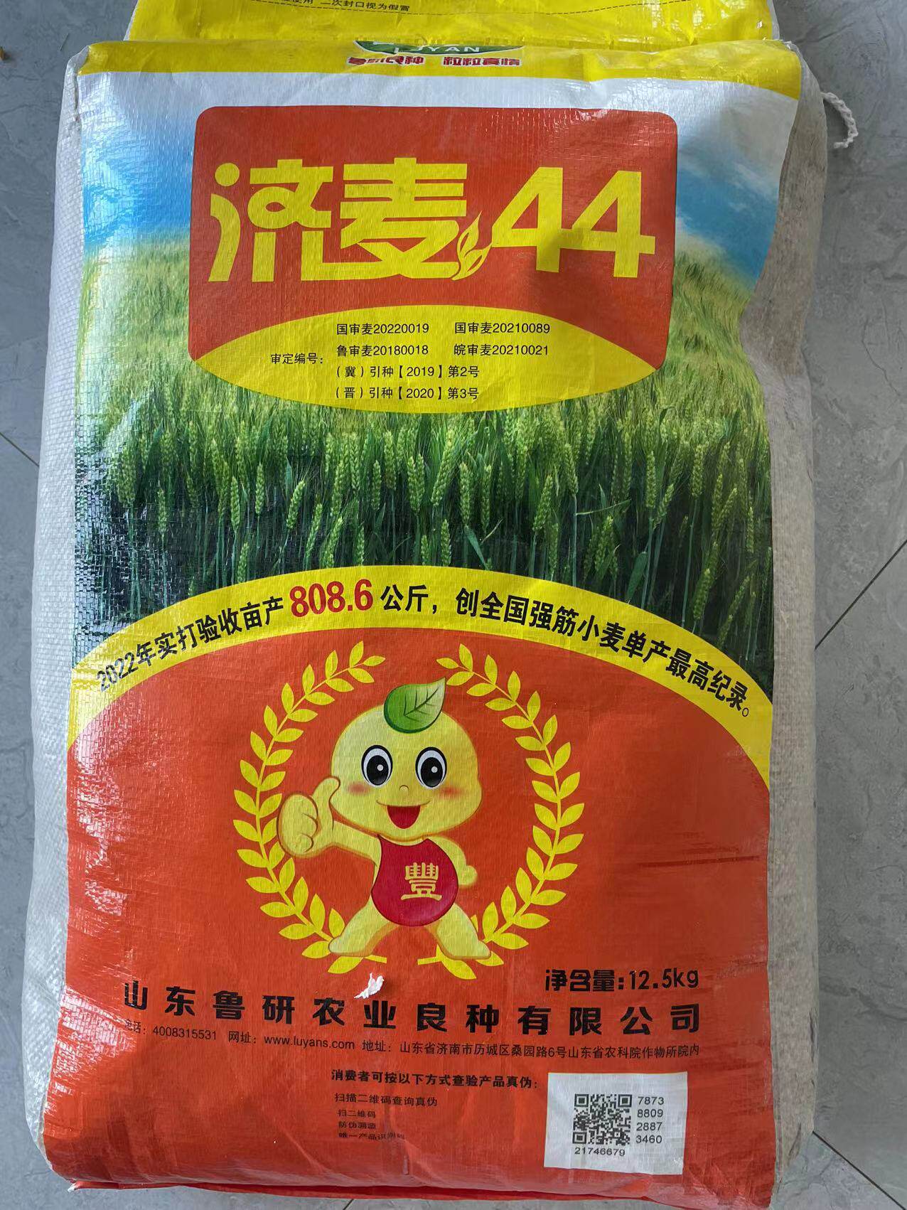 济麦44.强筋优质麦,产量高抗倒伏小麦优质种子高产大穗原种子属于什么档次？