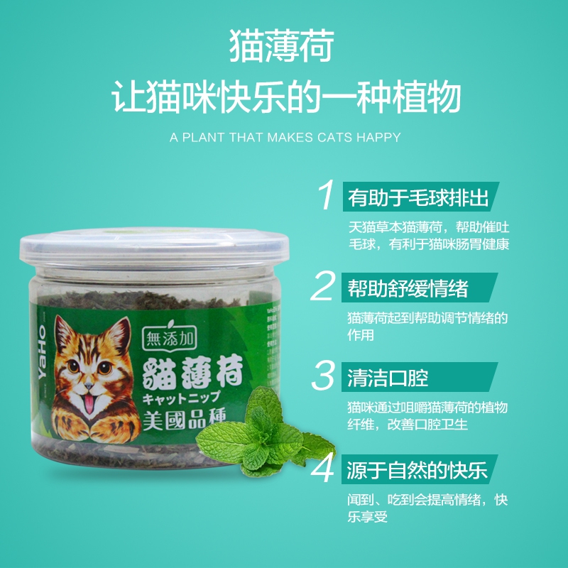 促进食欲排出亚禾猫薄荷