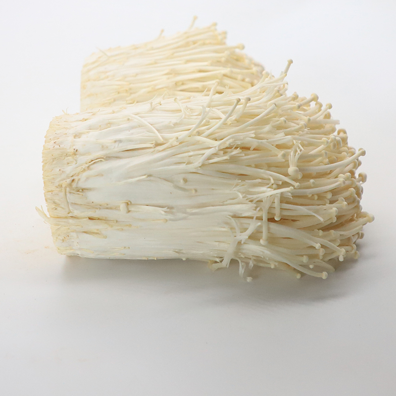 ʰ̹½ ÔÆÄÏÐÂÏʽðÕë¹½ Enoki Mushroom ÐÂÏʾú¹½Ã«±ú½ðÇ®¾ú 500g