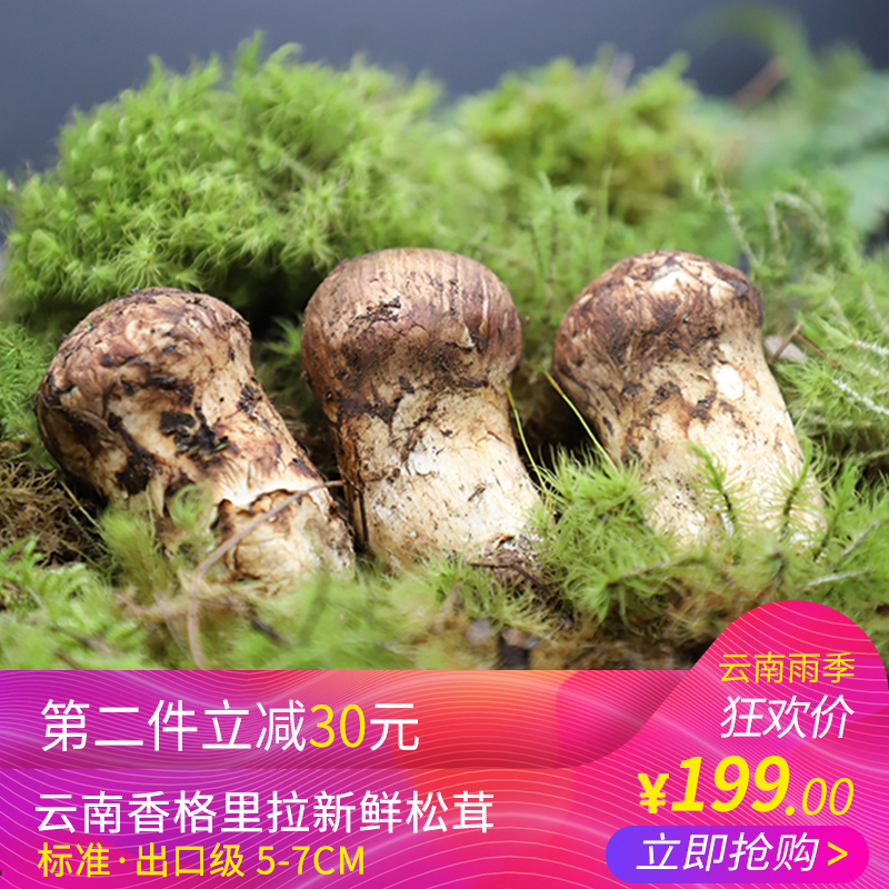 ʰ̹½ Ïã¸ñÀïÀÐÂÏÊËÉÈ× ±ê×¼³ö¿Ú¼¶ 5-7cm500g ÔÆÄÏÒ°Éú¾ú°üÓÊ