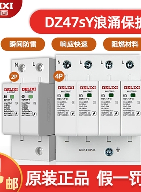 德力西DZ47SY浪涌保护器电源一二级CDY防雷击家用2P/4P避雷器385V