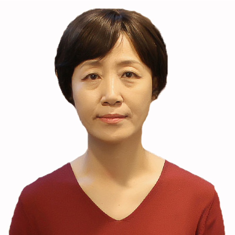 中老年妈妈假发全真发光头透气发套 老人逼真女士