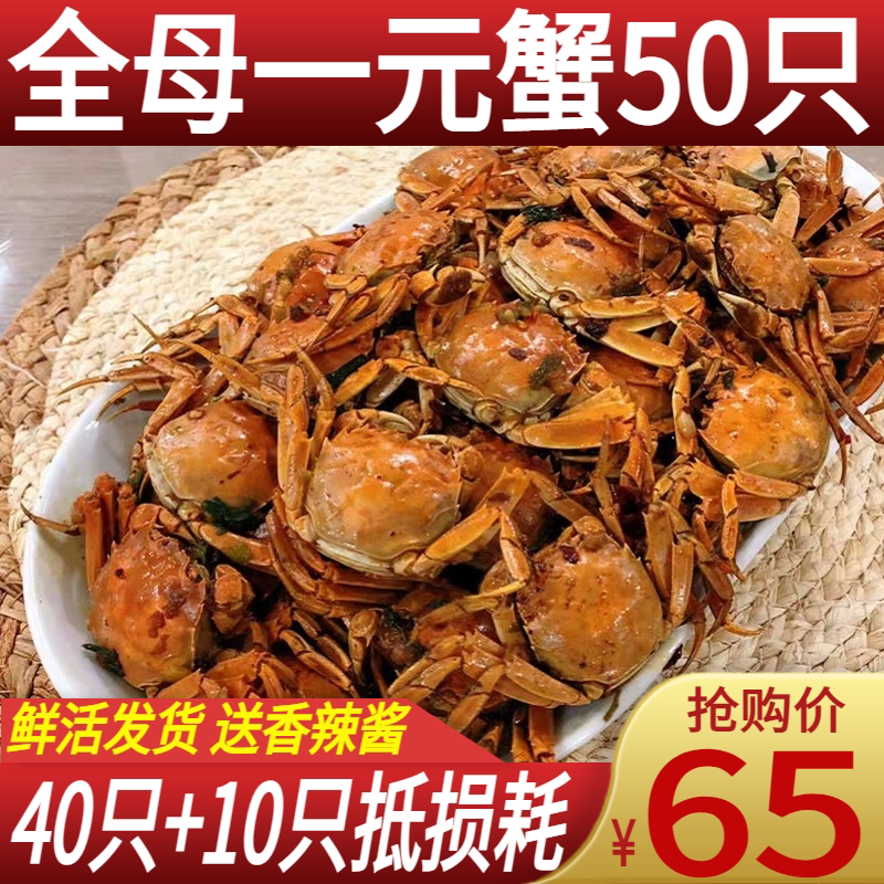全母40只裝壹元蟹鮮活大閘蟹小螃蟹小毛蟹水産稻田蟹醉蟹香辣蟹在類目 水產肉類/新鮮蔬果/熟食, 海鮮/水產品/製品, 蟹類, 大閘蟹中 - 來自Buy2taobao.com提供專業的淘寶代購服務