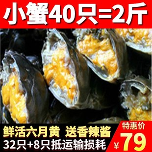 32只六月黄小螃蟹鲜活蟹大闸蟹一元 蟹二元 蟹醉蟹河蟹稻田蟹香辣蟹