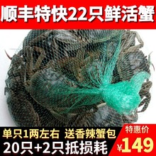 20只鲜活蟹清水大闸蟹小螃蟹稻田蟹香辣蟹醉蟹六月黄河蟹海鲜水产