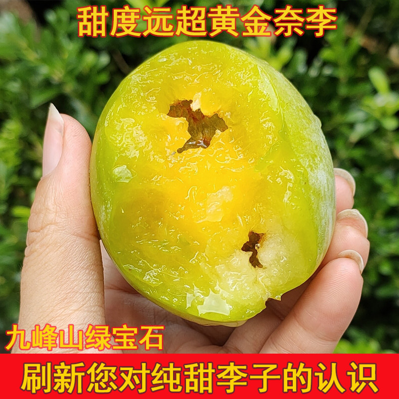 奈李非黄金奈李九峰山青宝石新鲜