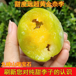 纯甜广东韶关乐昌九峰山绿宝石翡翠奈李黄金油奈新鲜水果整箱包邮