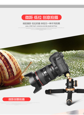 轻装时代Q166Z桌面迷你单反三脚架相机摄影视频拍照手机直播便携三角支架