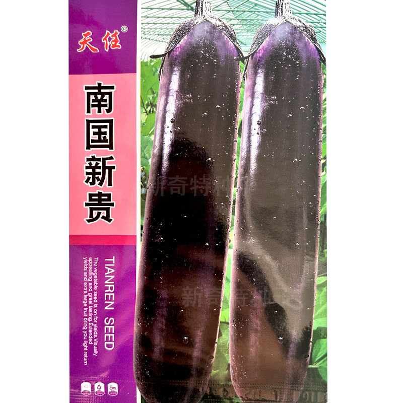 南国新贵紫黑茄子种子5g中早熟杂交紫黑油亮长棒茄菜农基地品种