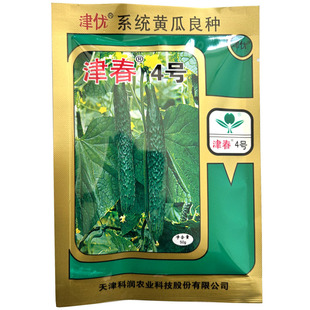 津春4号黄瓜种子50g中早熟直口基地耐寒强根大棚露地黄瓜种子