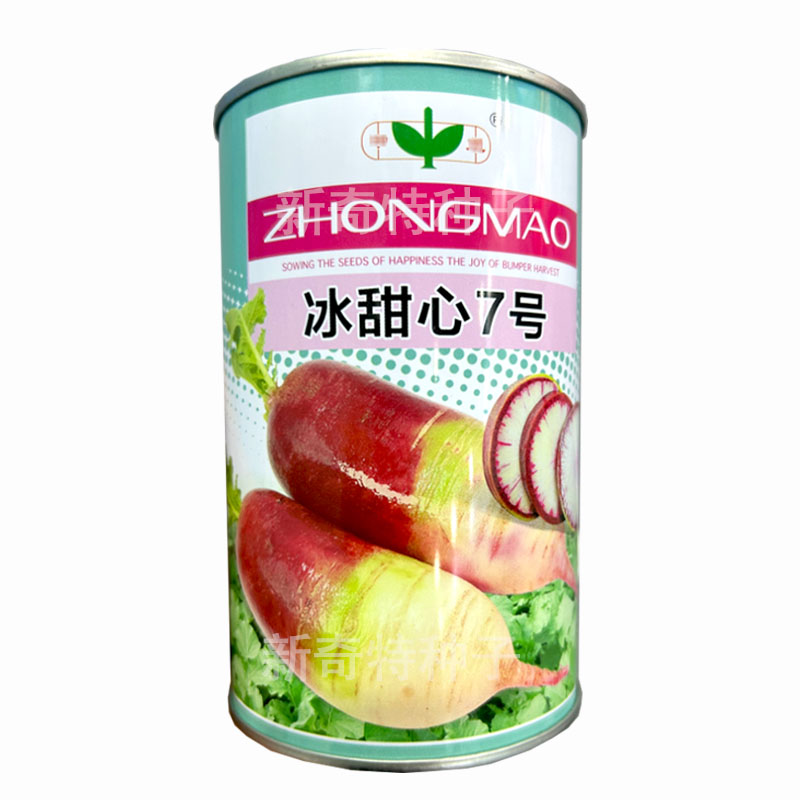 冰淇淋萝卜种子冰甜心7号水果萝卜冰激凌甜脆三色早熟耐寒基地品