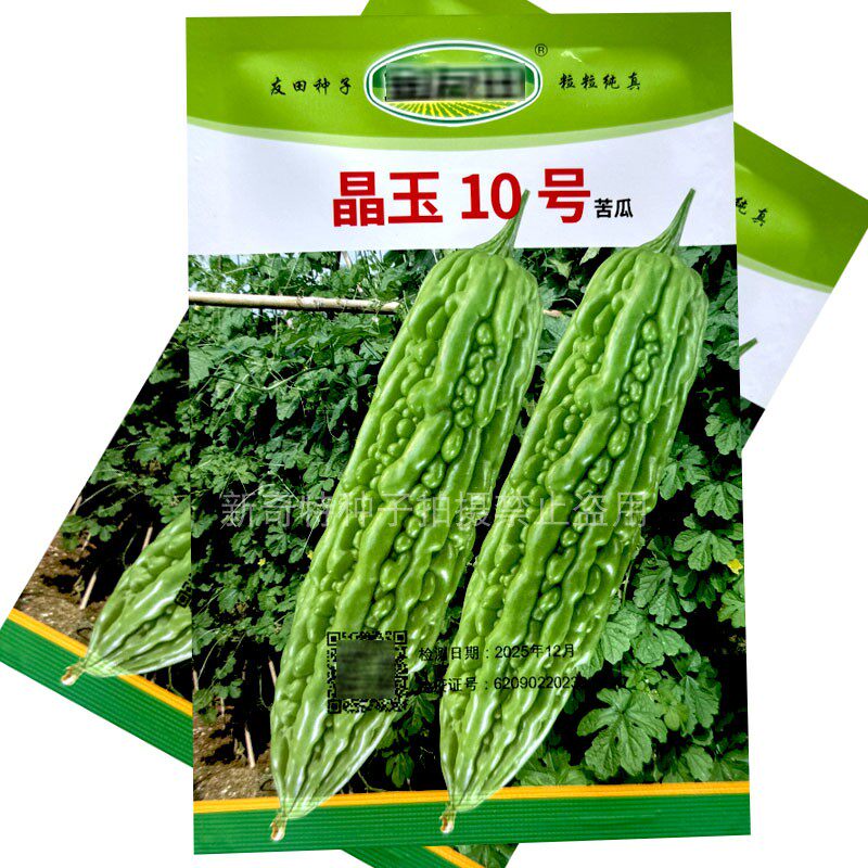 翠绿色苦瓜苦瓜种子 晶玉10号苦瓜籽 疙瘩绿高产抗病 大田基地型