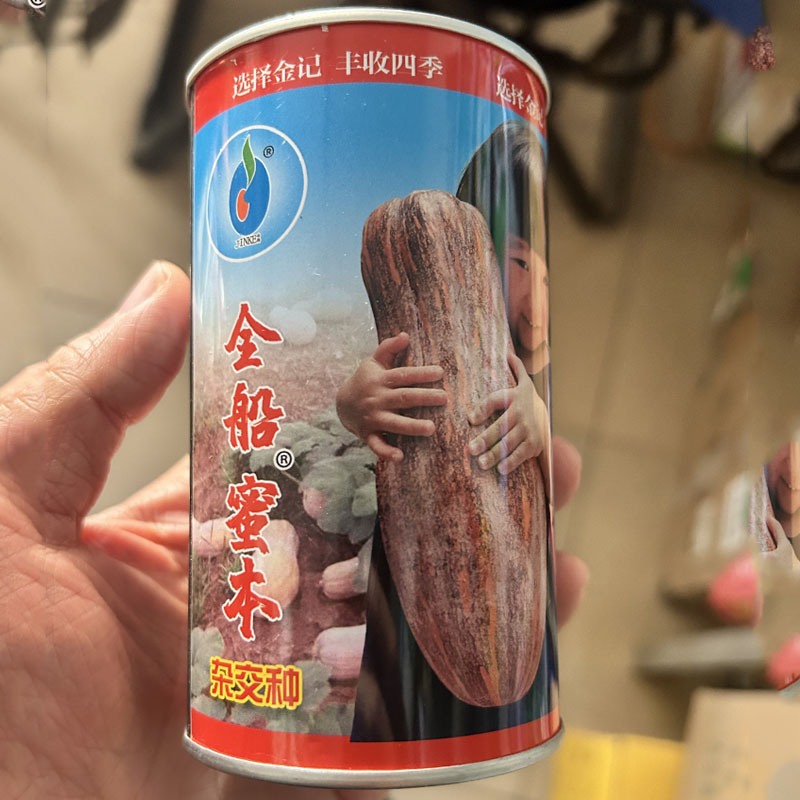 大棒甜瓜种子抗病坐果率强