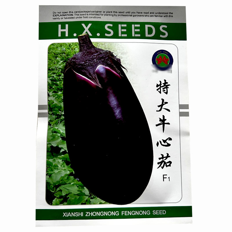 特大牛心茄子种子紫把黑茄子黑罐茄籽高产易种植大面积种植大面积