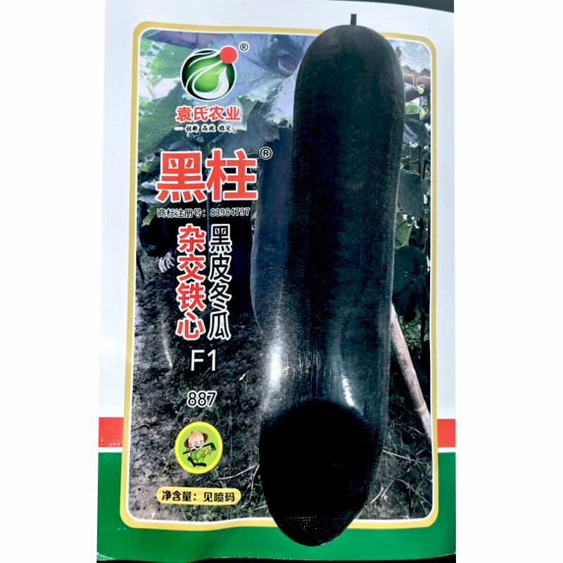 金记铁心黑皮冬瓜种子