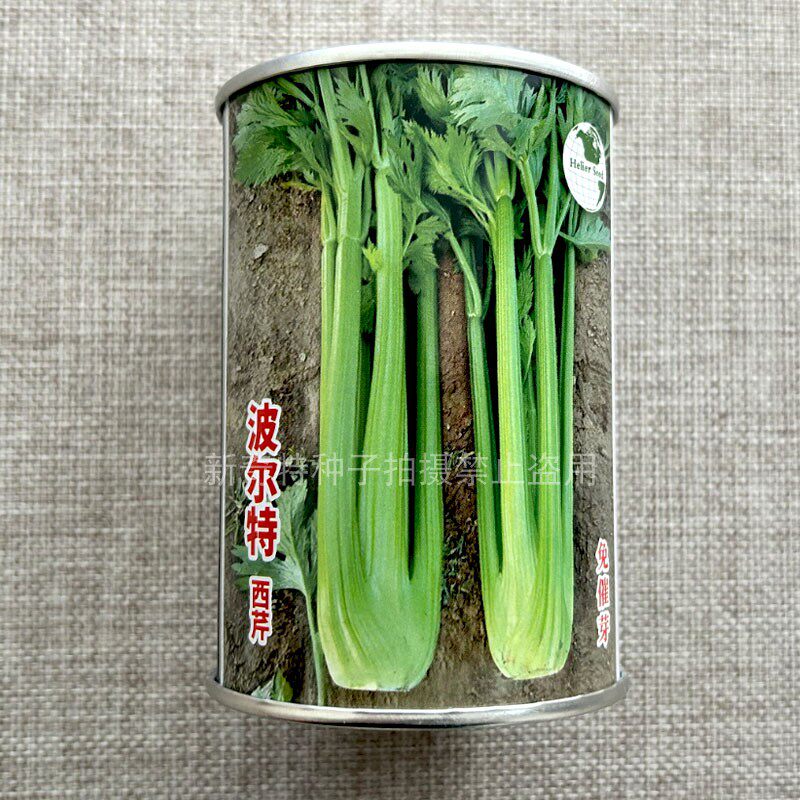 波尔特西芹种子四季播高产100克脆嫩芹菜种籽阳台盆栽蔬菜种子