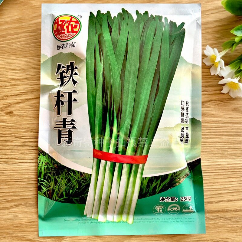 拯农铁杆青韭菜种子 宽叶肥厚叶色深绿直立辛辣味浓露地秋季小拱