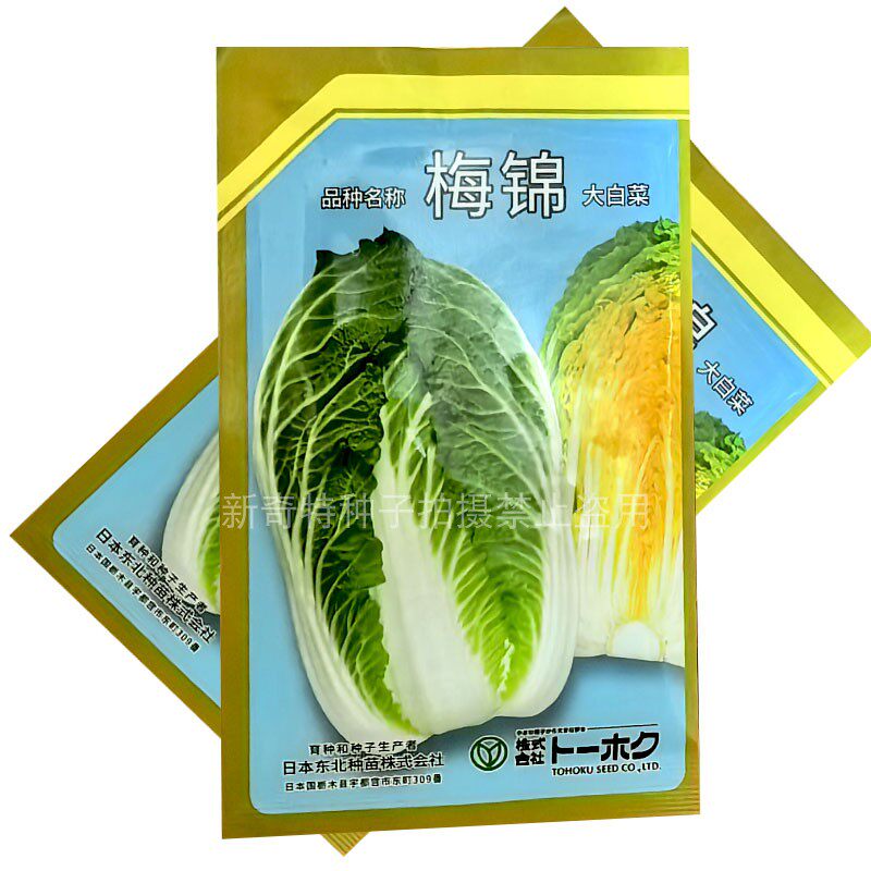 梅锦大白菜种子10g春季大黄心白菜种籽早熟黄芯 农播王春播大白菜