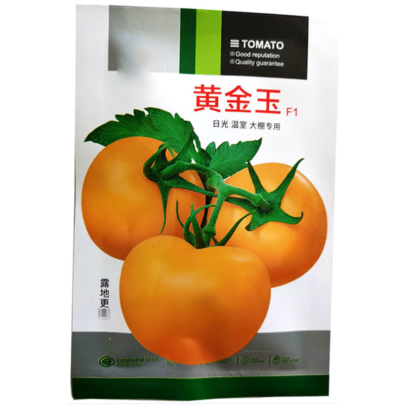 黄金玉番茄籽大黄番茄种子
