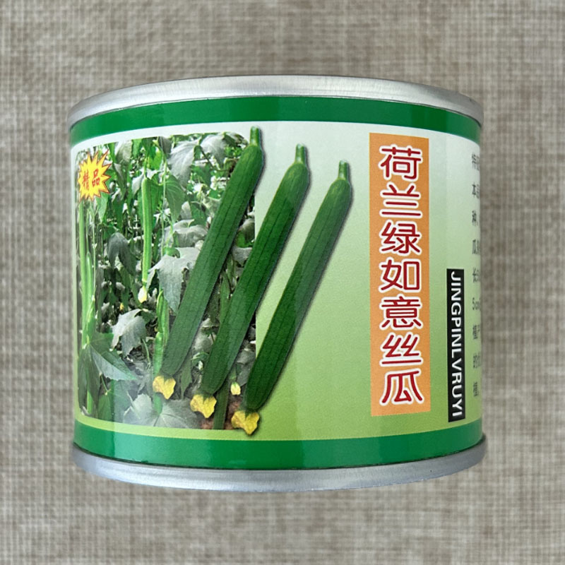 荷兰进口丝瓜种子杂交高产