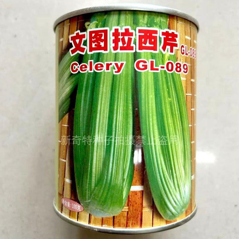 文图拉西芹种子 进口菜原种 耐寒耐抽苔100g生长快速 亩产高秋播