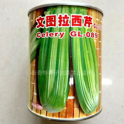 文图拉西芹种子 进口菜原种 耐寒耐抽苔100g生长快速 亩产高秋播