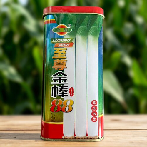 鲁明至尊金棒88章丘大葱种子200g杂交耐寒耐倒伏山东高白大葱