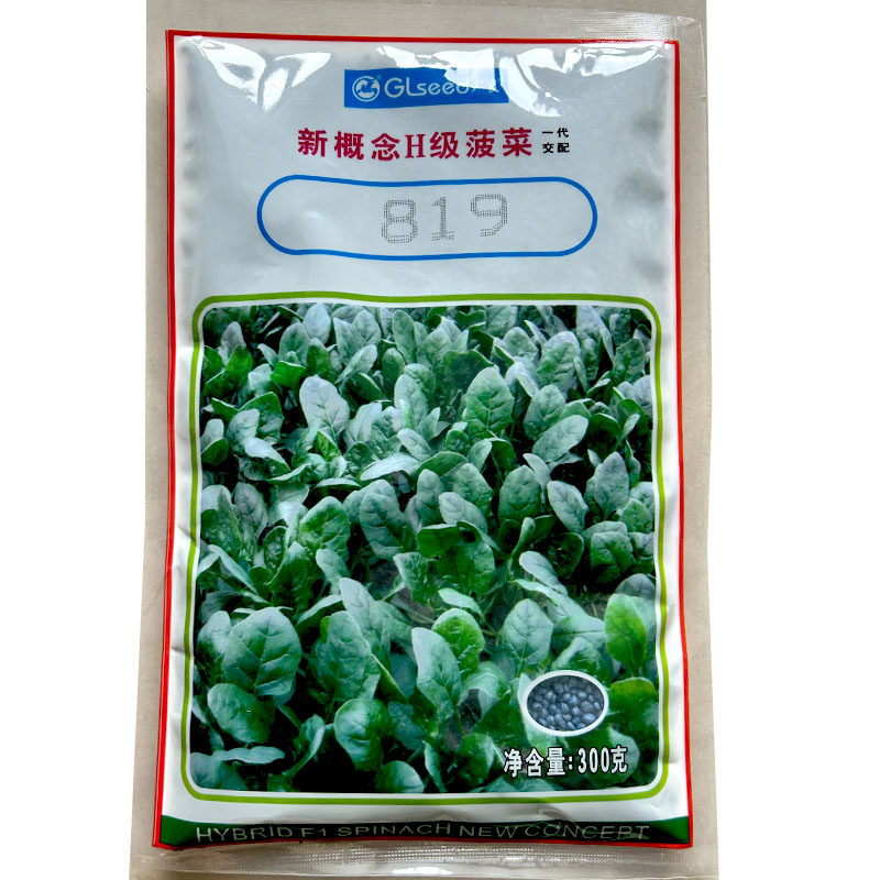 菠菜种子广良新概念H级300g杂交尖圆叶菠菜籽耐抽苔深绿叶菠菜