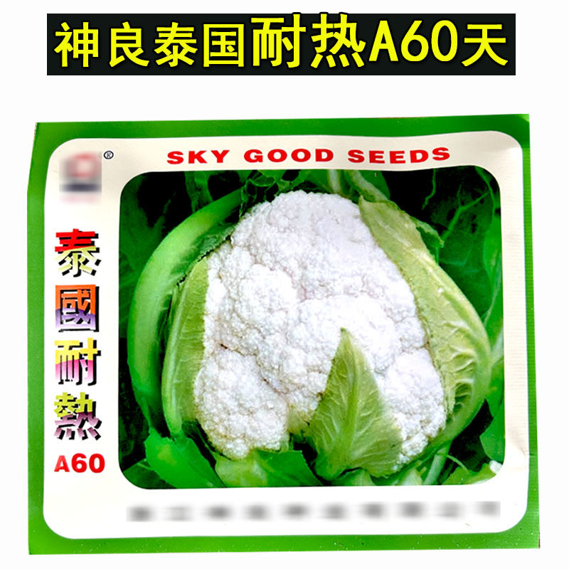 泰国耐热A60改良菜花种子20g白花耐热免盖球紧实心花椰菜基地品种