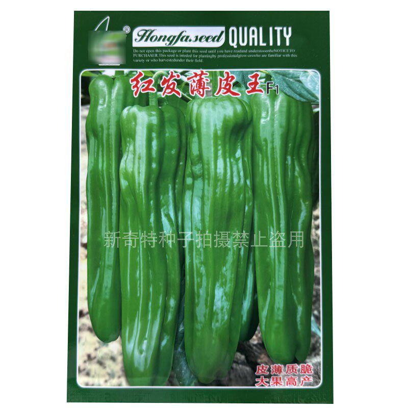 红发薄皮王F1早熟辣椒种子大果泡椒种子青椒皱皮虎皮椒1000粒挂果