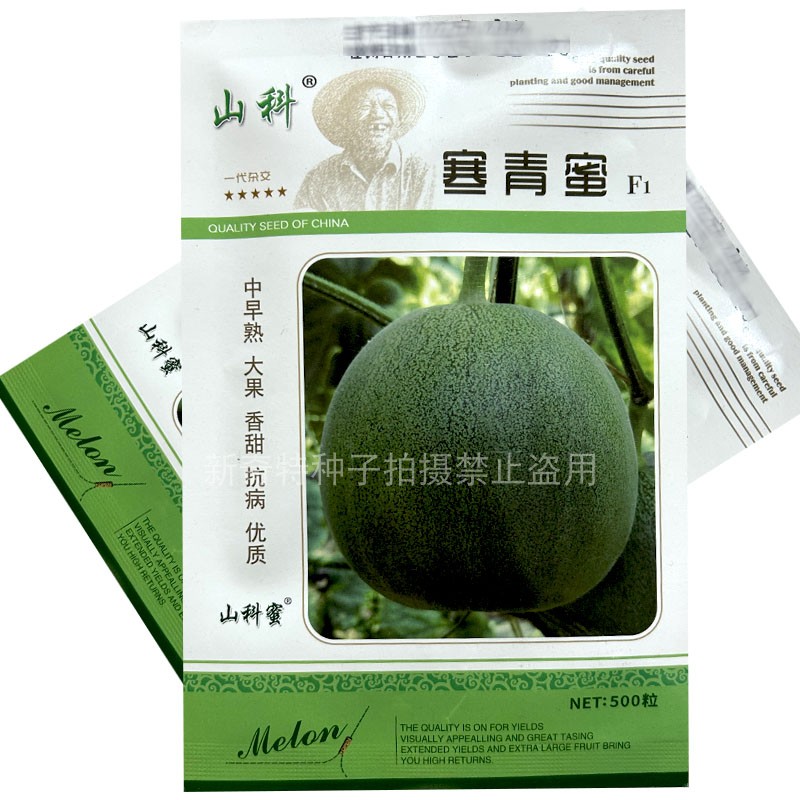 寒青蜜甜瓜种子的中早熟大果抗病香甜500l绿皮绿肉果实阔梨座果多