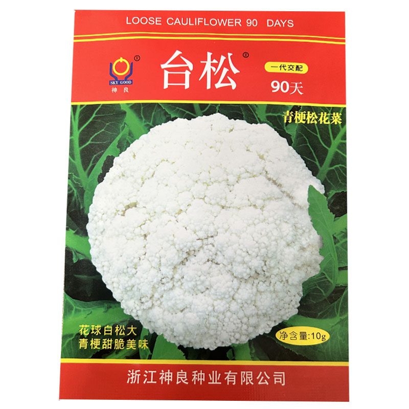 台松90天青梗菜花椰菜种子早熟花球大青梗甜脆美味大田种植